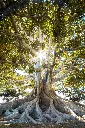 unsplash_EwKXn5CapA4_nature.webp