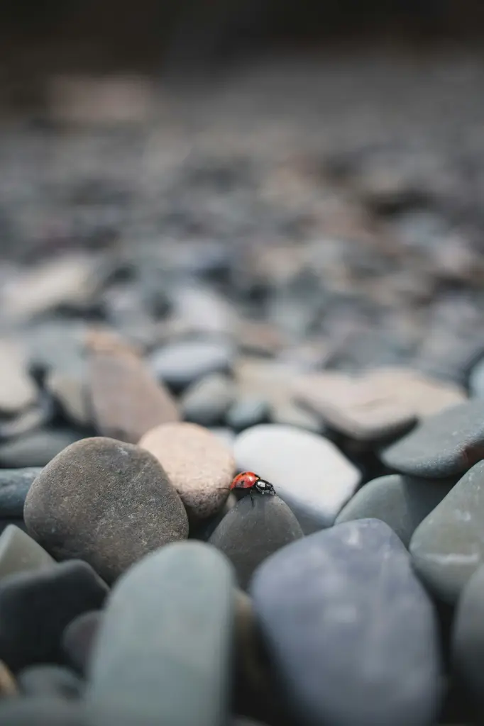 unsplash_mSDIkArKFKU_small.webp