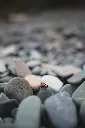 unsplash_mSDIkArKFKU_small.webp